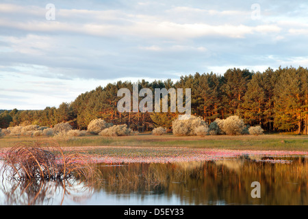 Stausee von La Cuerda del Pozo in Abejar, Soria, Spanien Stockfoto