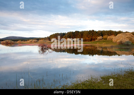 Stausee von La Cuerda del Pozo in Abejar, Soria, Spanien Stockfoto