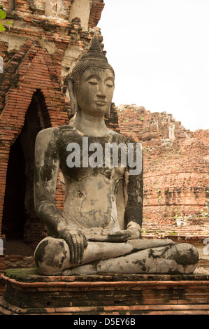 Buddha-Statue im Wat Mahathat, Ayutthaya, Thailand Stockfoto