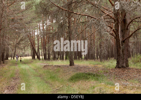 Stausee von La Cuerda del Pozo in Abejar, Soria, Spanien Stockfoto