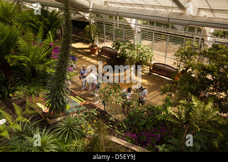 England, Berkshire, Windsor, Savill Garden, Besucher in Queen Elizabeth gemäßigten Haus Stockfoto