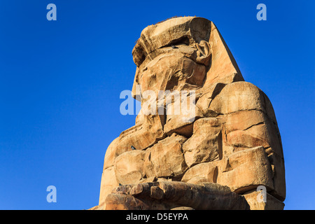 Antike Skulptur der Koloss Memnon, Luxor, Ägypten Stockfoto
