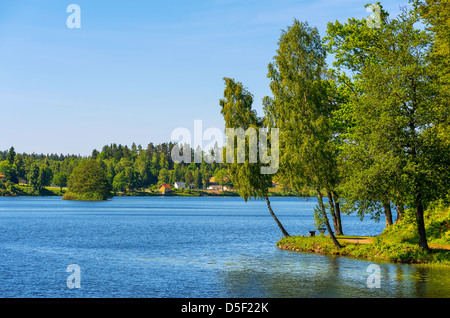 Landschaft. Schweden Stockfoto
