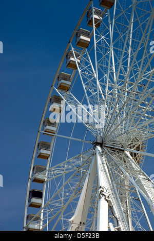 England, Berkshire, Windsor, Hülsen von Royal Windsor Rad in Alexandra Gardens Stockfoto