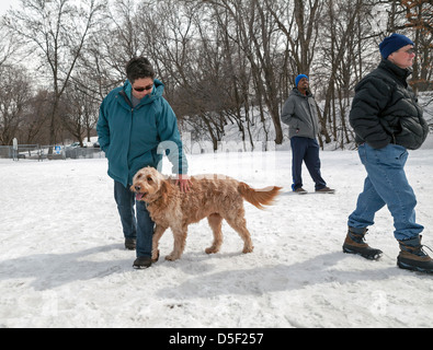 Ein Golden Doodle und seinem Besitzer verbringen Zeit in einen lokalen Hundepark in Minneapolis. Stockfoto