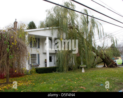 Wind beschädigt Baum und Haus. Stockfoto