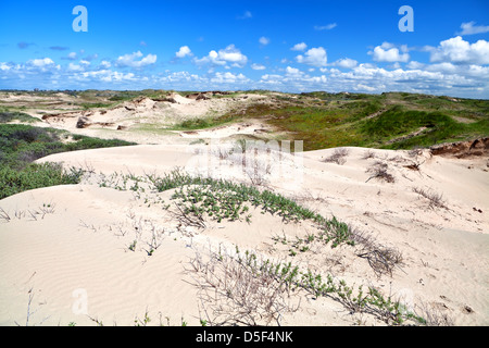 blauer Himmel über Dünen von Zandvoort Aan Zee, Holland Stockfoto