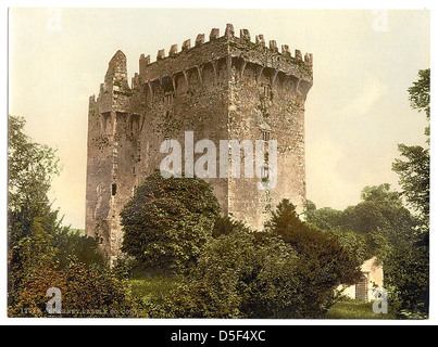 Blarney Castle im County Cork, Irland, ist eine historische Stätte, die für den Blarney Stone bekannt ist. Besucher küssen oft den Stein, um die Gabe der Beredsamkeit zu erhalten. Die Burg aus dem 15. Jahrhundert ist eine beliebte Touristenattraktion. Stockfoto