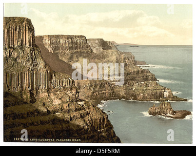 [Pleaskin Kopf, Giant es Causeway. Grafschaft Antrim, Irland] (LOC) Stockfoto