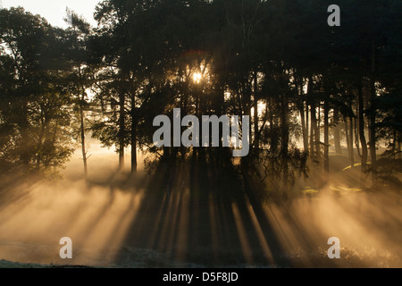 Sonne wirft Schatten in der Dämmerung Stockfoto