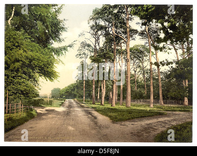 [Royal Military College, eine Lieblings Fahrt, Sandhurst, Camberley, England] (LOC) Stockfoto