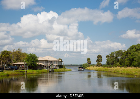 Myakka River State Park in Sarasota Florida Stockfoto