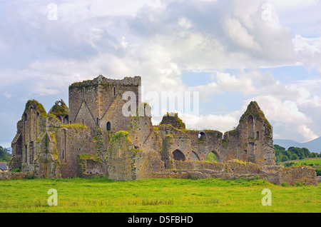 Kathedrale St. Patrick und grünen Rasen in Dublin, Irland Stockfoto