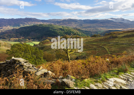 Blick vom Watkin Weg über Nant Gwynant Tal zum Cnict in Snowdonia National Park Nantgwynant Gwynedd North Wales UK Großbritannien Stockfoto