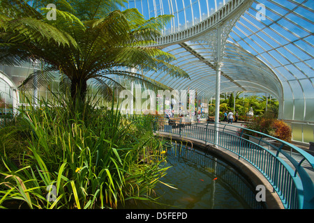 Botanic Gardens, Glasgow, Frühlingsfarben, sonnig; Strathclyde Region; Schottland Stockfoto