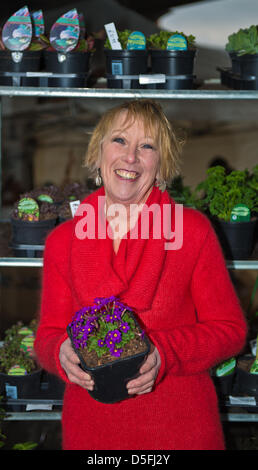 Gloucester, Großbritannien. 1. April 2013. TV-Gärtner und Autor Carol Klein Teilnahme an Haus und Gartenparty in Gloucester Quays Shopping Outlet.Gloucester UK. Bildnachweis: Charlie Bryan/Alamy Live-Nachrichten Stockfoto