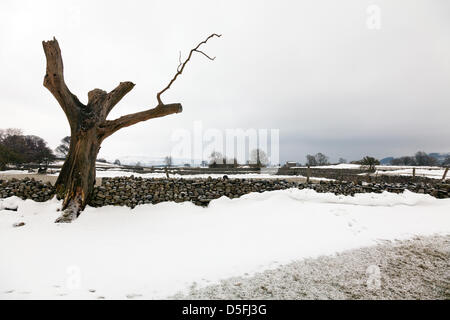 Yorkshire, Vereinigtes Königreich. 1. April 2013. Schnee noch dominieren die Landschaft der Yorkshire Dales. Felder sind noch kaum passierbar stellenweise wegen Schnee geschoben bis zu einer Seite, die jetzt zu brechen und fallen in die Straße Credit: Paul Thompson/Alamy Live News Stockfoto