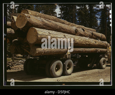 LKW-Ladung Gelbkiefer, Edward Hines Lumber Co. Operationen im Malheur National Forest, Grant County, Oregon (LOC) Stockfoto