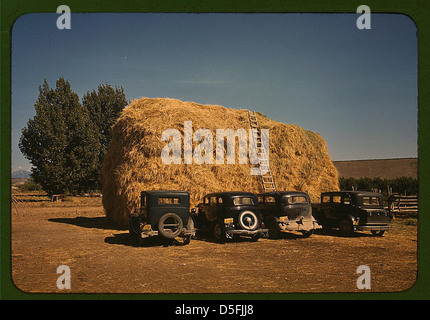 Heuhaufen und Automobil von Pfirsich Pickers, Delta County, Colorado (LOC) Stockfoto