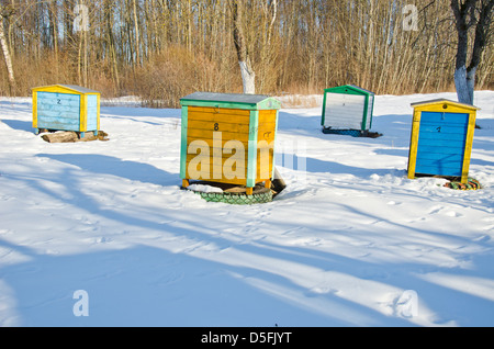 Bunt gelb und blau Bienenstöcke im Winterschnee im Bauerngarten Stockfoto