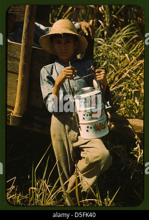 Sohn eines Bauern der FSA, der seinem Vater das Mittagessen brachte, der im Zuckerrohrfeld in der Nähe von Rio Piedras, Puerto Rico (LOC) arbeitete. Stockfoto