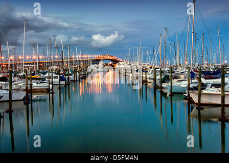 Hafen von Auckland Bridge von Westhaven Marina. Auckland, Nordinsel, Neuseeland Stockfoto