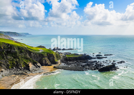 Die Küste am Hartland Quay, Devon, England. Stockfoto