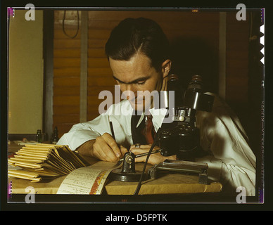 Geologe Prüfung Stecklinge von Wildkatze, Amarillo, Texas (LOC) Stockfoto