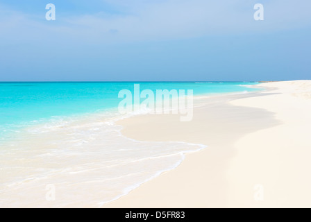 Tropischer Strand der Insel Cayo de Agua, Los Roques, Venezuela Stockfoto