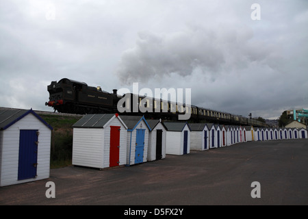 Dampfzug entlang der Seafront in Paignton Stockfoto