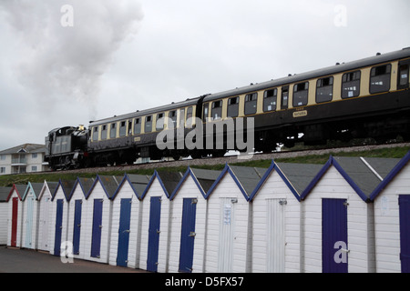 Dampfzug am Seafront Paignton Devon Stockfoto