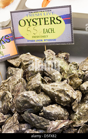 Austern auf Verkauf in Markthalle, St. Helier, Jersey, Großbritannien Stockfoto