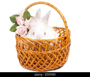 Schöne kleine pelzige weiße Hase mit einem Spray von rosa Rosen in einem dekorativen geflochtenen Weidenkorb für eine liebevolle Ostergeschenk. Stockfoto