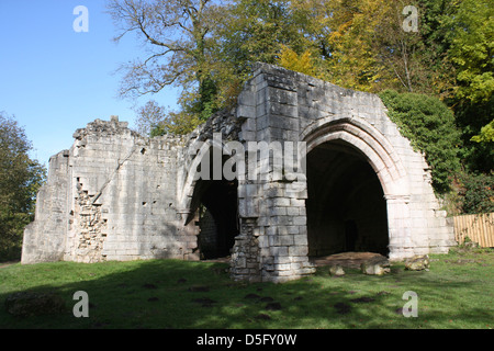 Dieses Bild zeigt ein Teil der Ruinen von Roche Abbey in der Nähe von Maltby in South Yorkshire. Stockfoto