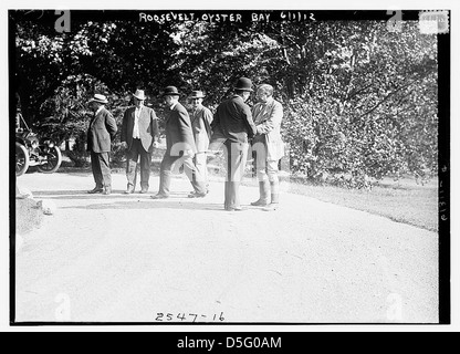 Roosevelt, Oyster Bay (LOC) Stockfoto