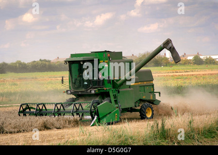 Mähdrescher Fenland Feldarbeit in der Nähe von Wisbech, Fenland, Cambridgeshire, England; Großbritannien; UK Stockfoto