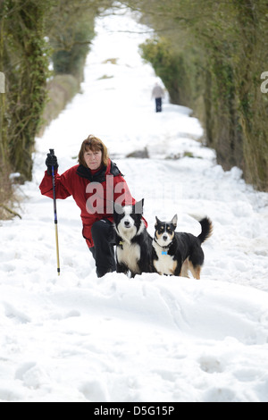 Frau, die im Winter in Großbritannien durch Tiefschneestrift läuft 2013 Unwetter raue Winter Hundespaziergänger Stockfoto