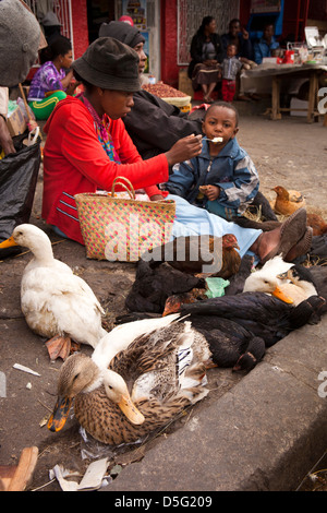 Antananarivo, Madagaskar Analakely Markt, Ente Stand Frau Kind füttern Stockfoto