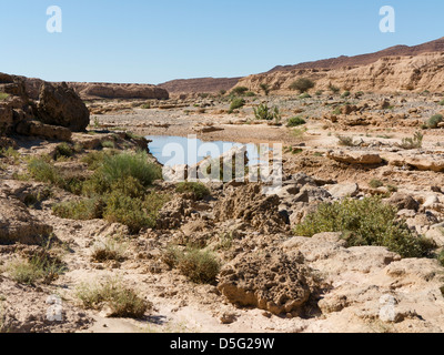 Wadi bis das Meer Höhle bekannt lokal als Grouttes de Messalit, in der Nähe von Tata, Anti Atlas-Gebirge von Südmarokko Stockfoto