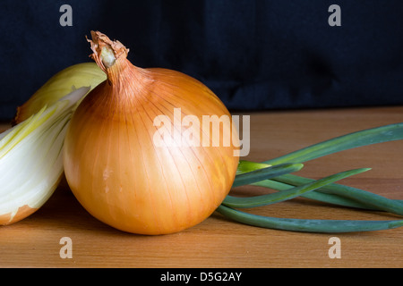 Zwiebel mit frischem Grün sprießen auf Holztisch Stockfoto