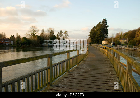 Themse in der Nähe von Henley, Oxfordshire, England UK Stockfoto