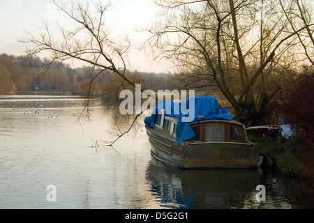 Themse in der Nähe von Henley, Oxfordshire, England UK Stockfoto