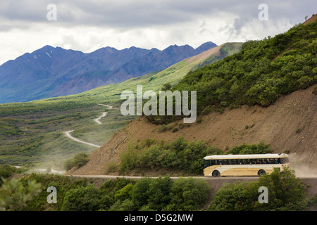 Shuttle-Busse Besucher auf den begrenzten Zugang Denali Park Road, Denali National Park, Alaska, USA Stockfoto