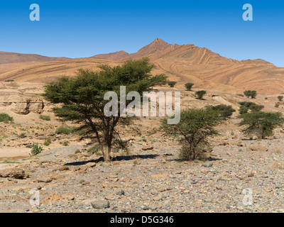 Wadi-Bett bis das Meer Höhle bekannt lokal als Grouttes de Messalit, in der Nähe von Tata, Anti Atlas-Gebirge von Südmarokko Stockfoto