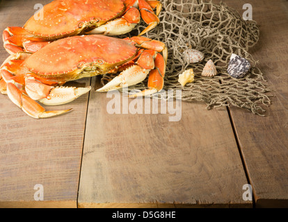 Zwei Dungeness Krabben und Net mit Muscheln Stockfoto