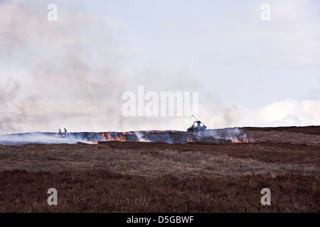 Foto zeigt kontrolliertes Brennen auf der North Yorkshire Moors. Stockfoto