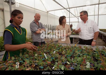 Niederländische Minister Lilanne Ploumen (Entwicklungshilfe) besucht eine niederländische Blumenfarm außerhalb Addid Abeba, Äthiopien. Stockfoto