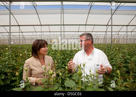 Niederländische Minister Lilanne Ploumen (Entwicklungshilfe) besucht eine niederländische Blumenfarm außerhalb Addid Abeba, Äthiopien. Stockfoto