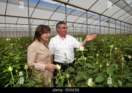 Niederländische Minister Lilanne Ploumen (Entwicklungshilfe) besucht eine niederländische Blumenfarm außerhalb Addid Abeba, Äthiopien. Stockfoto