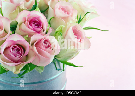 Romantische Rosen auf Pastell Farbe shabby chic Hintergrund Stockfoto